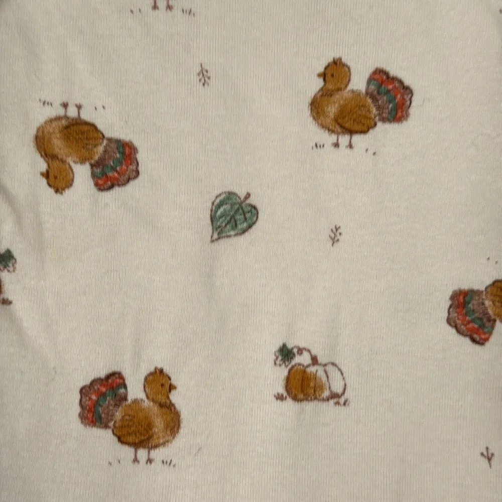 Carter’s Turkey pumpkin set unisex baby 6 months Thanksgiving holiday party fall